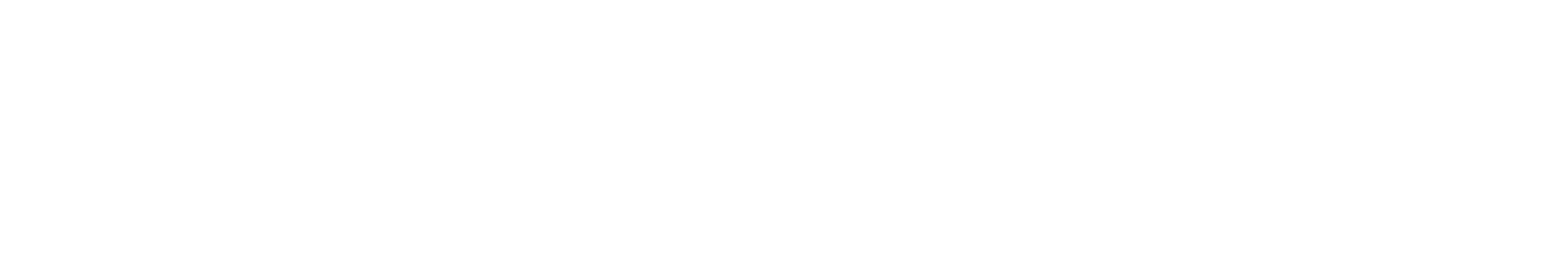ELEVEN HYPE ID-Verify
